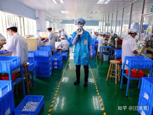 逆势增长300% 外贸工厂自建品牌的最佳时机