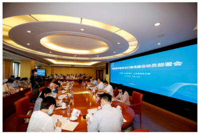 河南网信网在经贸咨询领域的角色与价值