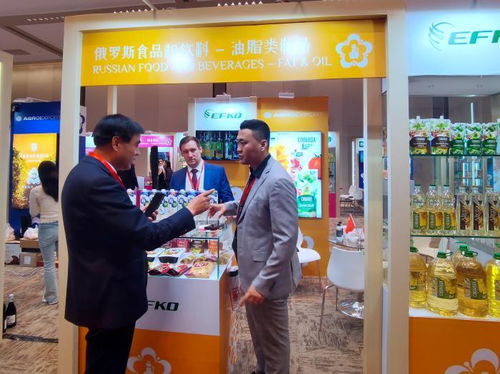 大陆经贸新机遇 齐鲁网视角下的区域经济合作与发展